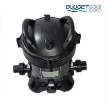 Load image into Gallery viewer, Astral IX 50 Leaf Canister-Filters-AstralPool-Budget Pool Care