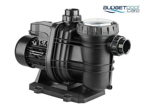 Davey Typhoon T150M Pool Pump - 1.5 HP - Budget Pool Care