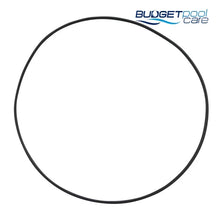 Load image into Gallery viewer, O-RING DAVEY LEAF POT SLL - Budget Pool Care
