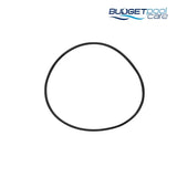 O RING DAVEY PUMP LID SILENSOR SML