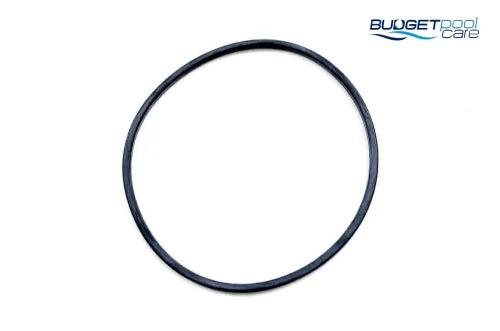 O-RING MON. WHISPER PUMP LID - Budget Pool Care