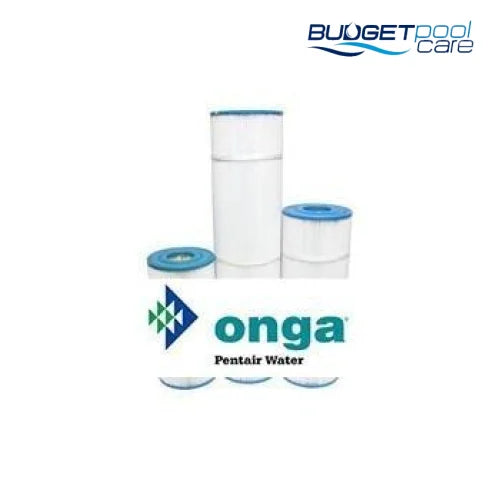Quiptron/Onga PCF Cartridge Filter Replacement - Budget Pool Care