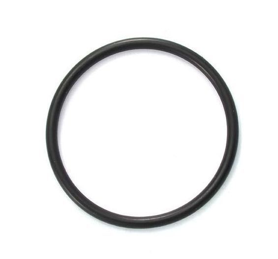 AstralPool / Viron / Hurlcon O ring for 50mm MPV union adapter E, RX series - 70009