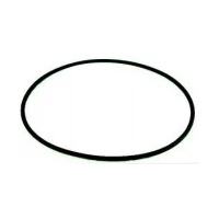Onga LTP/PPP 400/550/750/1100 O Ring Casing (Also Works as a Cover Oring for P21-P25 MPVs)
