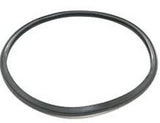 Onga Leisuretime LTP and Pantera PPP Pump Lid O-Ring - Genuine