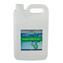 Load image into Gallery viewer, Lo-chlor Algae Knock Out