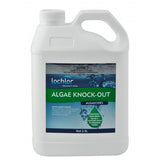 Lo-chlor Algae Knock Out