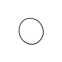 Load image into Gallery viewer, Astralpool Pump Body O-ring / Gasket