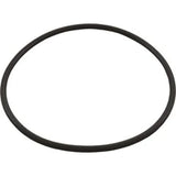 HAYWARD LEAF CANISTER O-RING # AXW542