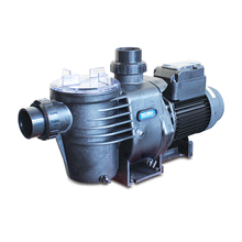Load image into Gallery viewer, Hydrostorm Eco100V  Speed Pump
