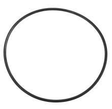 Load image into Gallery viewer, Pentair Onga Leisuretime II valve to tank o'ring