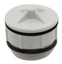Load image into Gallery viewer, Pentair 40mm hydrostatic valve only