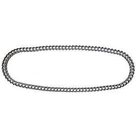 Polaris 3900 Chain