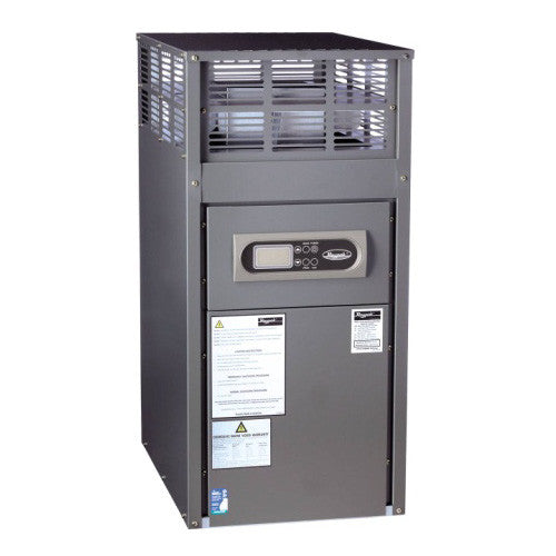 Raypak Spartan 131