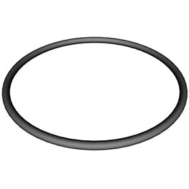 Hayward Super II Lid Oring - Spare Parts