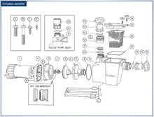 Load image into Gallery viewer, Poolrite SQ Pump Lid - Oring