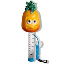 Load image into Gallery viewer, Swimsafe Tutti Frutti Pool Thermometer