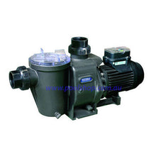 Load image into Gallery viewer, Hydrostorm Eco100V  Speed Pump