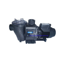 Load image into Gallery viewer, Waterco Hydrostorm Pool Pumps