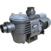 Load image into Gallery viewer, Waterco Hydrostorm Pool Pumps