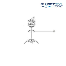 Astral O Ring - Valve to Tank 40/50mm - Budget Pool Care