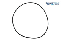 Load image into Gallery viewer, Baker Hydro / Bowman Cartridge Filter Tank Oring Default