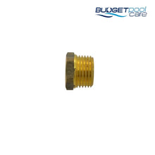 Load image into Gallery viewer, BRASS BRUSH WATERCO WATER LEVELLER - Budget Pool Care