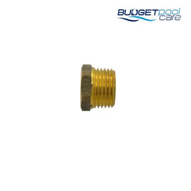 BRASS BRUSH WATERCO WATER LEVELLER - Budget Pool Care