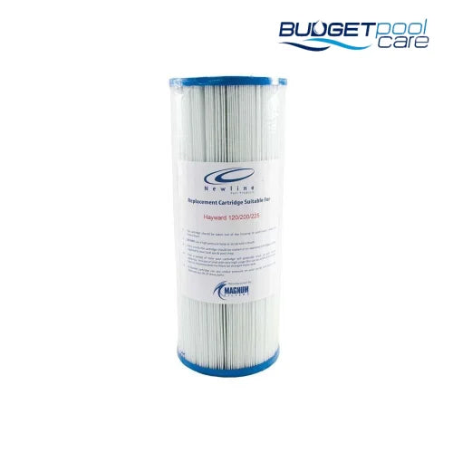 CARTRIDGE SUITS HAYWARD C225 - Budget Pool Care