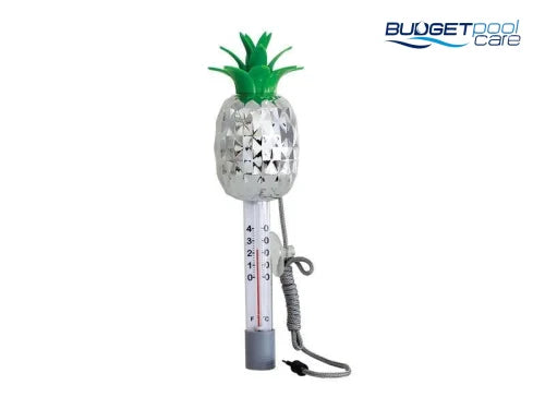 CHROME THERMOMETER LIFE - PINEAPPLE - Budget Pool Care