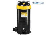 Davey Crystal Clear 225 sq ft Cartridge Filter