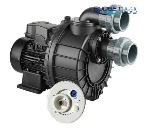 Davey Hurricane® H300M Turbo Pump & Swim-Jet System Pumps