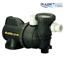 Load image into Gallery viewer, Davey Silensor® Sll300 Super Quiet Pool Pump (1.3Hp) Pumps