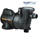 Davey Silensor SLS 300 Pool Pump   1.3 HP