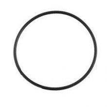 Load image into Gallery viewer, Davey Starflo SF Pool Pump Lid Oring - Spare Part