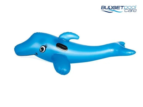 DOLPHIN RIDER LEISURE FUN - Budget Pool Care