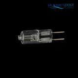 GLOBE 24V 100W