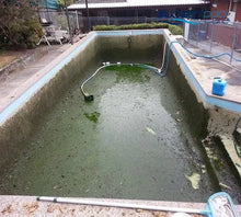 Load image into Gallery viewer, Green Pool Cleaning Service-Pool Service-Budget Pool Care-Pool Balance and Equipment Service-Budget Pool Care