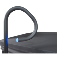 Load image into Gallery viewer, Spa Side Handrail With LED Light