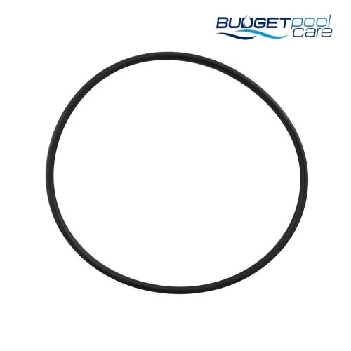 Hayward C120 / C200 / C225 Cartridge Filter Lid O'Ring - Budget Pool Care