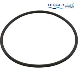 Hayward Leaf Canister O-Ring - Part # AXW542 - Budget Pool Care