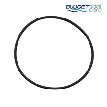 Load image into Gallery viewer, Hayward Star-Clear Plus Cartridge Filter Lid Oring Default