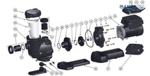 Load image into Gallery viewer, Hayward Tristar Housing Gasket - Spx3200T