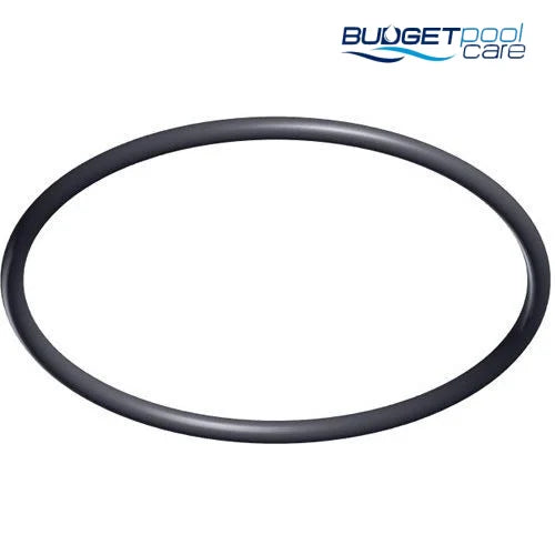 Hayward Tristar Lid O Ring Spx3200S