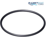 Hayward TriStar Lid O Ring SPX3200S