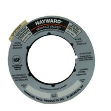 Load image into Gallery viewer, Hayward Vari-Flo 50MM Label Plate