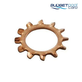 Lock Washer - JV61 (2 Pack) - Budget Pool Care