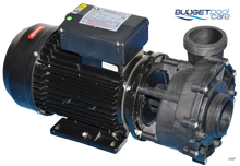 Load image into Gallery viewer, Lx Hydromassage Wp300-Ii Spa Pump - Two Speed 3.0Hp ( Mini J&amp;J)