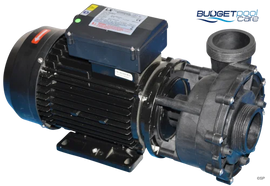 Lx Hydromassage Wp300-Ii Spa Pump - Two Speed 3.0Hp ( Mini J&J)