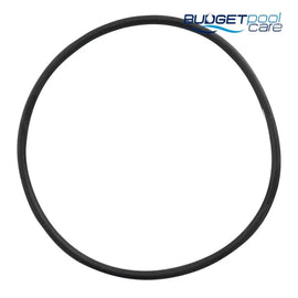 O-RING ADAPT POOLRITE SAND 22120 - Budget Pool Care